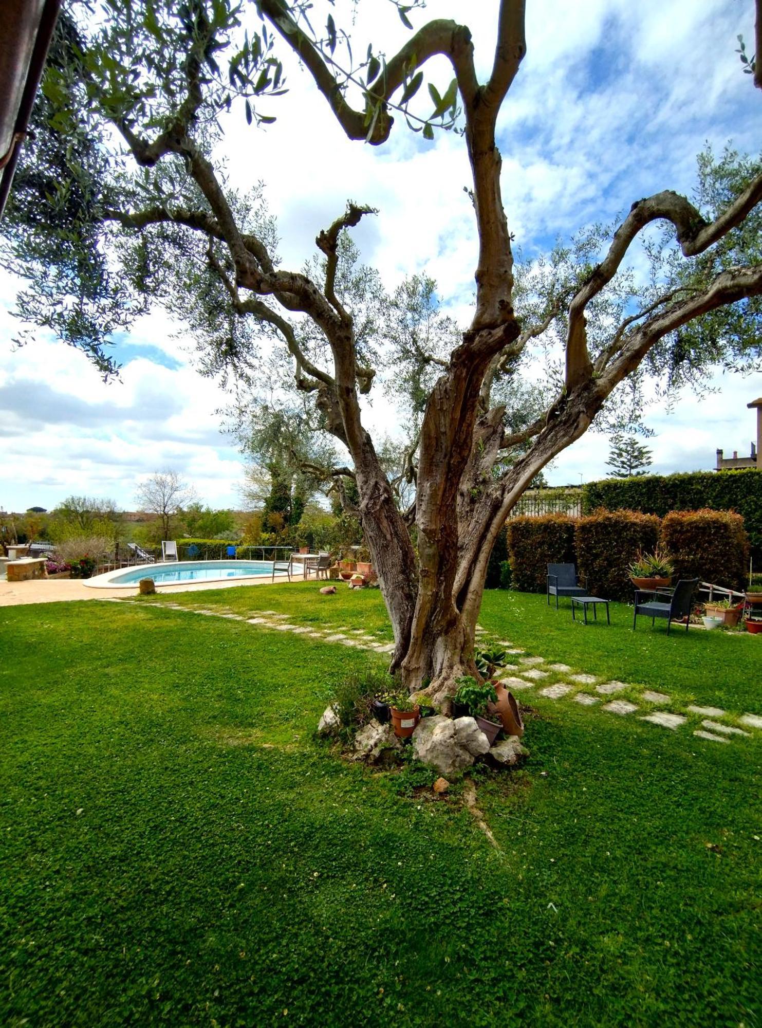 La Valle Dei Casali Com Рим Экстерьер фото